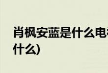 肖楓安藍是什么電視劇(肖楓安藍的電視劇是什么)