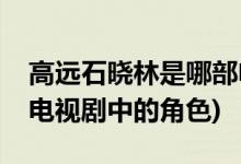 高遠石曉林是哪部電視劇(高遠石曉林是哪部電視劇中的角色)