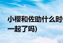 小櫻和佐助什么時候在一起的(小櫻和佐助在一起了嗎)