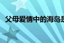 父母愛(ài)情中的海島是哪(父母愛(ài)情電視劇情)