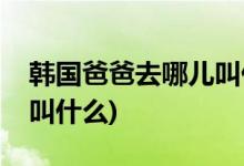 韓國(guó)爸爸去哪兒叫什么(韓國(guó)爸爸去哪兒名字叫什么)