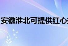 安徽淮北可提供紅心掛燙機維修服務(wù)地址在哪