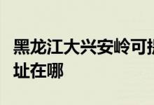 黑龍江大興安嶺可提供海爾掛燙機維修服務(wù)地址在哪