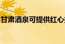 甘肅酒泉可提供紅心掛燙機維修服務(wù)地址在哪