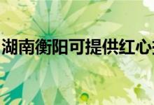 湖南衡陽可提供紅心掛燙機(jī)維修服務(wù)地址在哪