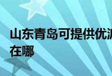 山東青島可提供優(yōu)派空氣凈化器維修服務地址在哪