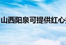 山西陽泉可提供紅心掛燙機(jī)維修服務(wù)地址在哪