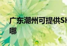 廣東潮州可提供SKG電吹風(fēng)維修服務(wù)地址在哪