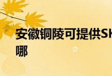 安徽銅陵可提供SKG電吹風(fēng)維修服務(wù)地址在哪