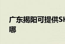 廣東揭陽(yáng)可提供SKG剃須刀維修服務(wù)地址在哪