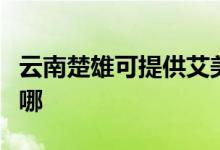 云南楚雄可提供艾美特除濕機維修服務地址在哪