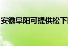 安徽阜陽可提供松下除濕機維修服務地址在哪