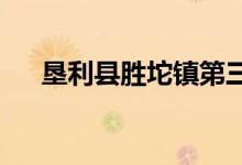 墾利縣勝坨鎮(zhèn)第三中心小學的地址在哪