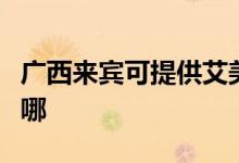 廣西來賓可提供艾美特除濕機維修服務地址在哪