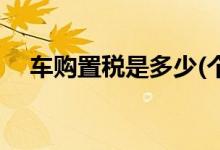 車購置稅是多少(個人購車的購置稅多少)