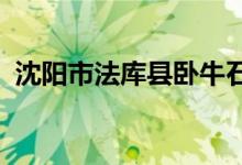沈陽市法庫縣臥牛石鄉(xiāng)初級中學的地址在哪