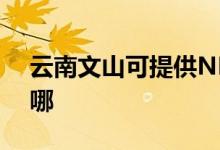 云南文山可提供NEC投影機維修服務(wù)地址在哪