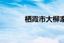 棲霞市大柳家小學的地址在哪