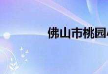 佛山市桃園小學的地址在哪