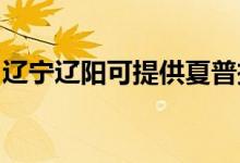 遼寧遼陽可提供夏普投影機(jī)維修服務(wù)地址在哪