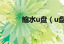 縮水u盤（u盤縮水了怎么復原）