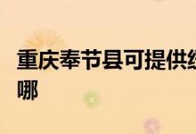 重慶奉節(jié)縣可提供紐曼投影機(jī)維修服務(wù)地址在哪