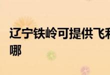 遼寧鐵嶺可提供飛利浦投影機維修服務(wù)地址在哪