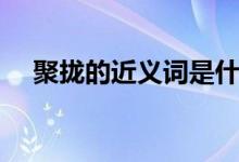 聚攏的近義詞是什么（聚攏的近義詞語）