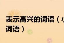 表示高興的詞語（小學語文知識：描寫高興的詞語）