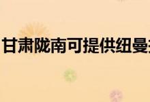 甘肅隴南可提供紐曼投影機(jī)維修服務(wù)地址在哪