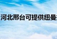 河北邢臺(tái)可提供紐曼投影機(jī)維修服務(wù)地址在哪