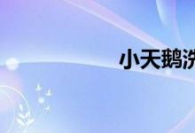 小天鵝洗衣機(jī)怎么用
