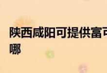 陜西咸陽(yáng)可提供富可視投影機(jī)維修服務(wù)地址在哪