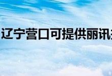 遼寧營(yíng)口可提供麗訊投影機(jī)維修服務(wù)地址在哪