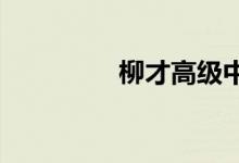 柳才高級中學(xué)的地址在哪