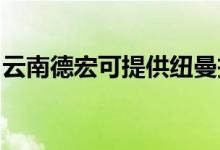 云南德宏可提供紐曼投影機(jī)維修服務(wù)地址在哪