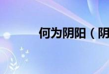 何為陰陽（陰陽到底為何物？）