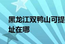 黑龍江雙鴨山可提供aigo投影機維修服務地址在哪