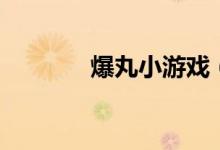 爆丸小游戲（爆丸對戰(zhàn)手游）