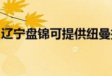 遼寧盤錦可提供紐曼投影機(jī)維修服務(wù)地址在哪