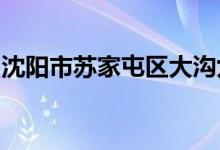 沈陽市蘇家屯區(qū)大溝九年一貫制學的地址在哪