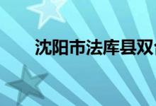 沈陽(yáng)市法庫(kù)縣雙臺(tái)子學(xué)校的地址在哪