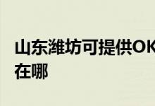 山東濰坊可提供OKI激光打印機維修服務(wù)地址在哪