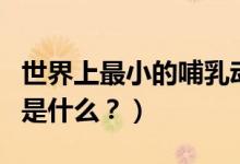 世界上最小的哺乳動(dòng)物（世界最小的哺乳動(dòng)物是什么？）