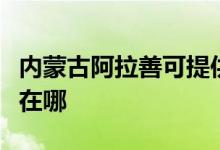 內蒙古阿拉善可提供理光復印機維修服務地址在哪