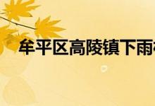 牟平區(qū)高陵鎮(zhèn)下雨村學區(qū)小學的地址在哪