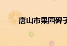 唐山市果園碑子院小學的地址在哪