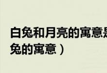 白兔和月亮的寓意是什么（中的文化知識(shí)：白兔的寓意）