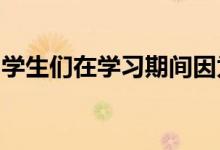 學(xué)生們在學(xué)習(xí)期間因為什么原因?qū)е缕v不堪