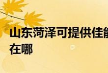 山東菏澤可提供佳能?chē)娔蛴C(jī)維修服務(wù)地址在哪